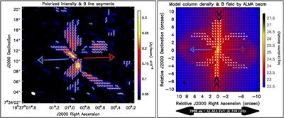 The Role of Magnetic Fields in the Formation of Protostellar Discs